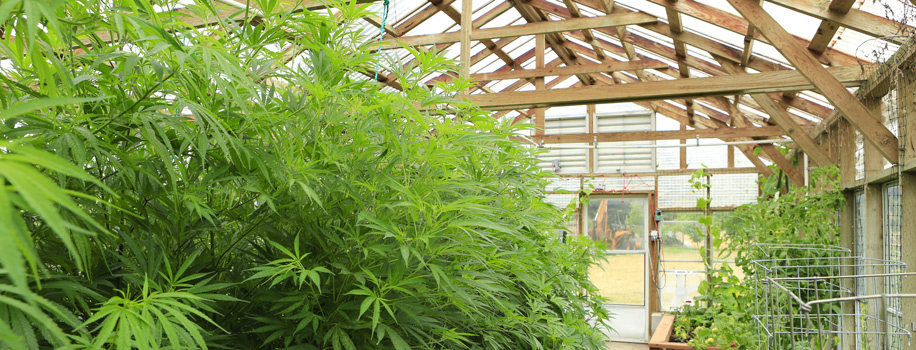 Security Solutions for Apartments in Doniphan, MO